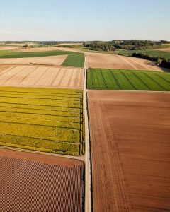 Champs agricoles colores sous le ciel en campagne